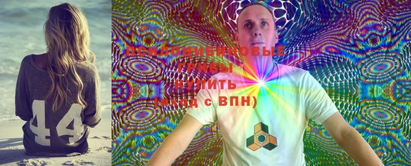 PSILOCYBIN Верхний Тагил